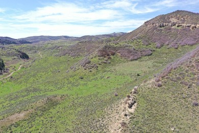 The Tow Creek Ranch is 619 +/- acres located 15 minutes west of - photo 49