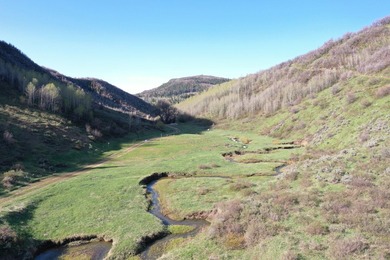The Tow Creek Ranch is 619 +/- acres located 15 minutes west of - photo 50