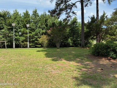 Level Vacant Lot on over .55 - photo 3