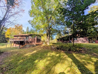 Lake Home For Sale in Vulcan, Michigan