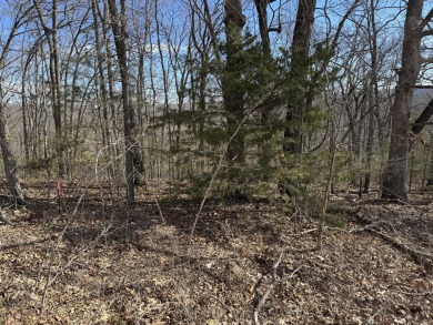 Table Rock Lake Acreage For Sale in Branson West Missouri