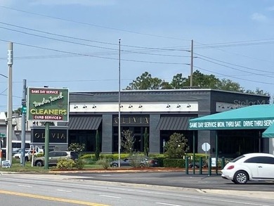 South Tampa - Lighted retail corner - Major intersection - Heavy - photo 3