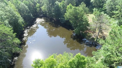 Lake Acreage For Sale in Oneonta, Alabama