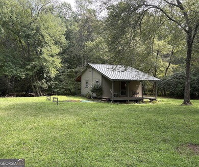 (private lake, pond, creek) Home For Sale in Mineral Bluff Georgia