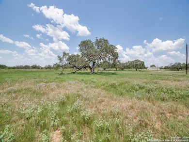 30 Acres with Ag Exemption - Ideal for Ranching, Farming, or