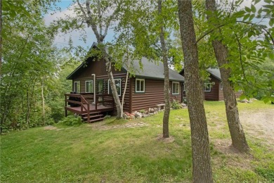 Lake Home For Sale in Pine River Twp, Minnesota