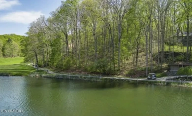 LAKE VIEW and GOLF FRONT Lot - photo 3