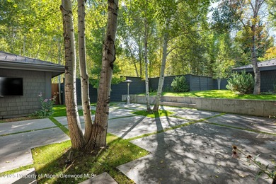 Unique opportunity to own one of Aspen's most magical - photo 3