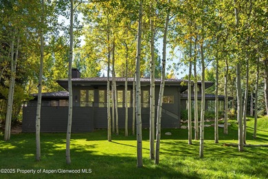 Unique opportunity to own one of Aspen's most magical - photo 5