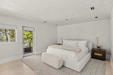 Unique opportunity to own one of Aspen's most magical - photo 10