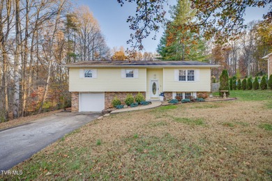 Holston River - Hawkins County Home Sale Pending in Mount Carmel Tennessee