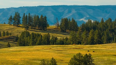 30,000+/- acre ranch on the Joseph Plains, this ranch features - photo 5
