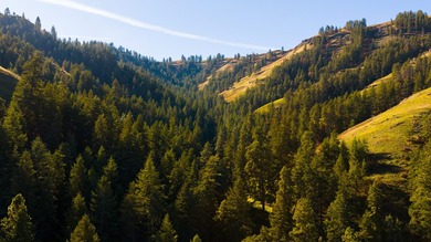 30,000+/- acre ranch on the Joseph Plains, this ranch features - photo 9