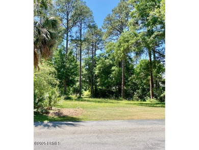 185 Distant Island Drive presents an exceptional opportunity to - photo 2
