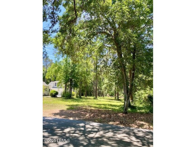 185 Distant Island Drive presents an exceptional opportunity to - photo 5