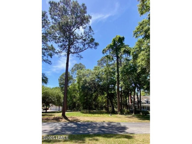 205 Distant Island Drive on Distant Island presents a prime - photo 2