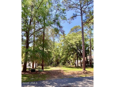 205 Distant Island Drive on Distant Island presents a prime - photo 4