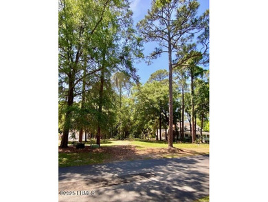 205 Distant Island Drive on Distant Island presents a prime - photo 6