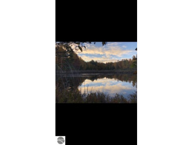 (private lake, pond, creek) Acreage For Sale in Cadillac Michigan