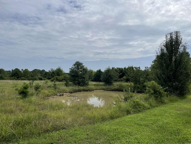 House with a barn and 2.90 Acres!! Fenced property and a small - photo 12