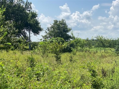 Bois D Arc Lake Acreage For Sale in Telephone Texas