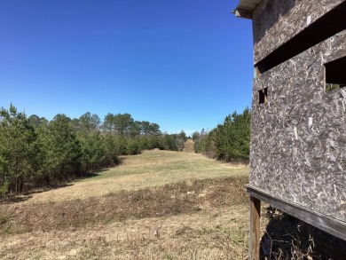 Lake Acreage For Sale in Vandervoort, Arkansas