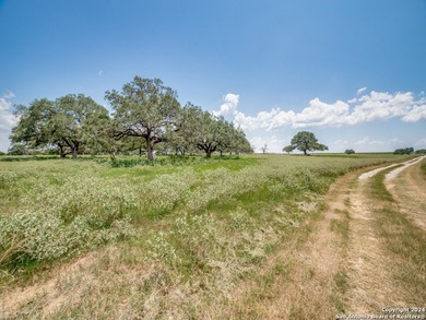 30 Acres with Ag Exemption - Ideal for Ranching, Farming, or