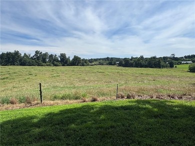 40 +/- Acres of Scenic Pastureland. Discover the kind of - photo 22