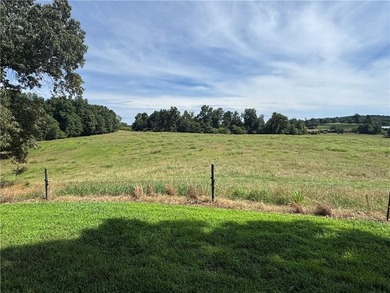40 +/- Acres of Scenic Pastureland. Discover the kind of - photo 24
