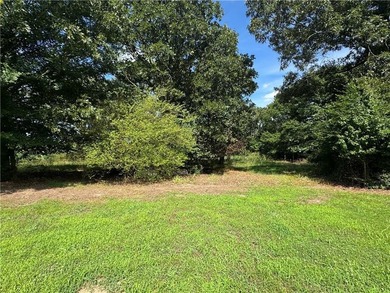 40 +/- Acres of Scenic Pastureland. Discover the kind of - photo 29
