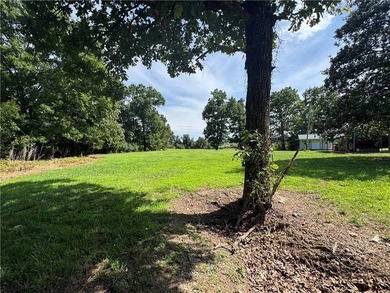40 +/- Acres of Scenic Pastureland. Discover the kind of - photo 33