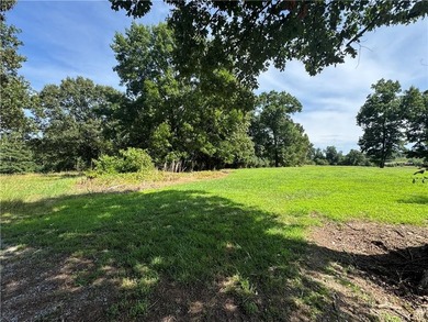 40 +/- Acres of Scenic Pastureland. Discover the kind of - photo 34