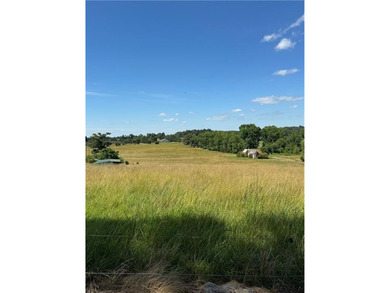 40 +/- Acres of Scenic Pastureland. Discover the kind of - photo 35