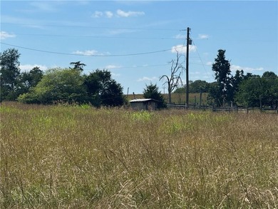 40 +/- Acres of Scenic Pastureland. Discover the kind of - photo 36