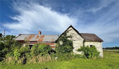 40 +/- Acres of Scenic Pastureland. Discover the kind of - photo 38