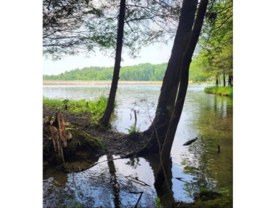 (private lake, pond, creek) Lot For Sale in Daniels West Virginia