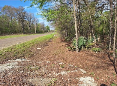 Beautiful 1.5-acre property located in Harris, OK, just minutes - photo 4
