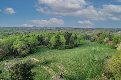 A Rare 55-Acre Lake Lifestyle Opportunity on Lake Lanier with - photo 10