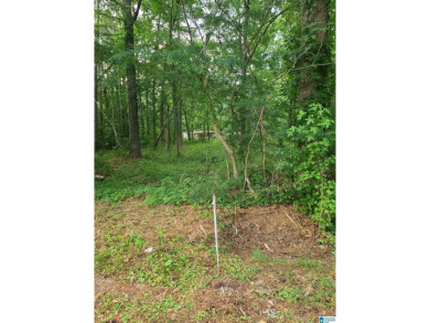 Pinedale Lake Lot For Sale in Ashville Alabama