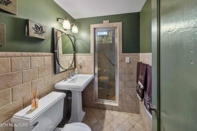 Arguably the most iconic home in Knoxville, is now being offered - photo 41