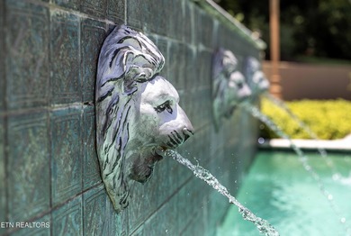 Arguably the most iconic home in Knoxville, is now being offered - photo 50
