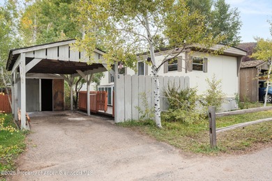 Lake Home For Sale in Aspen, Colorado