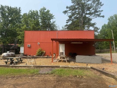 Lake Home For Sale in Leesburg, Alabama