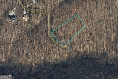 Lake Tamarack Lot For Sale in Jasper Georgia