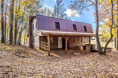 This a real lakefront log cabin with all the comforts, modern - photo 42
