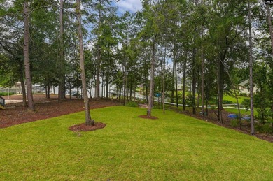 New Construction on Lake Murray! Tucked away in the Pointes of - photo 57