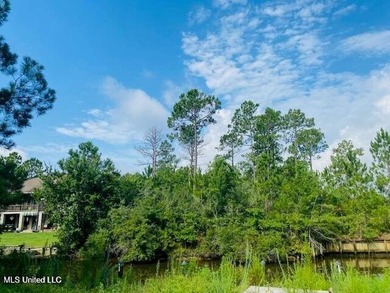 Large waterfront lot on the Mississippi Gulf Coast in the - photo 11