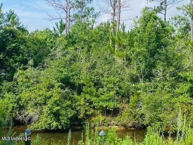 Large waterfront lot on the Mississippi Gulf Coast in the - photo 12