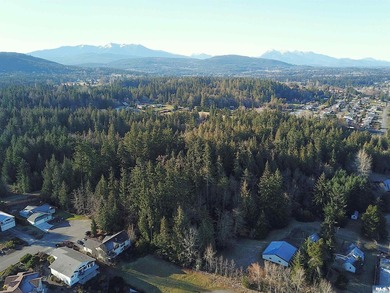 Enjoy water and mountain views from this beautifully treed 3.04 - photo 2