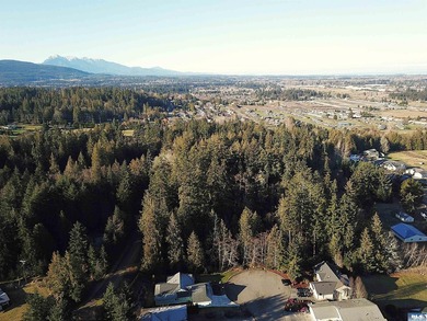 Enjoy water and mountain views from this beautifully treed 3.04 - photo 3
